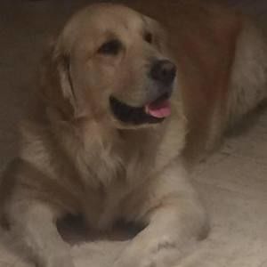 Meet your Posher, Daniela